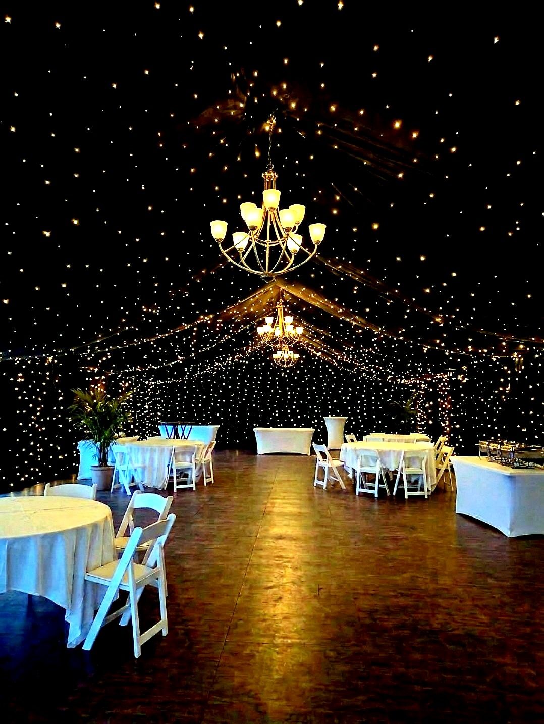 Starry Night ceiling — the full tent reception wall to wall, by Altitude Event Design and Decor, Tampa Bay