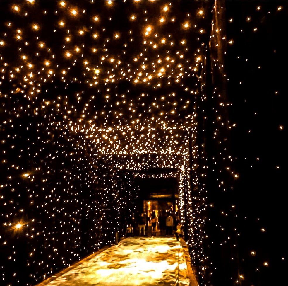 Twinkle lights — inside the light tunnel, up close, by Altitude Event Design and Decor, Tampa Bay