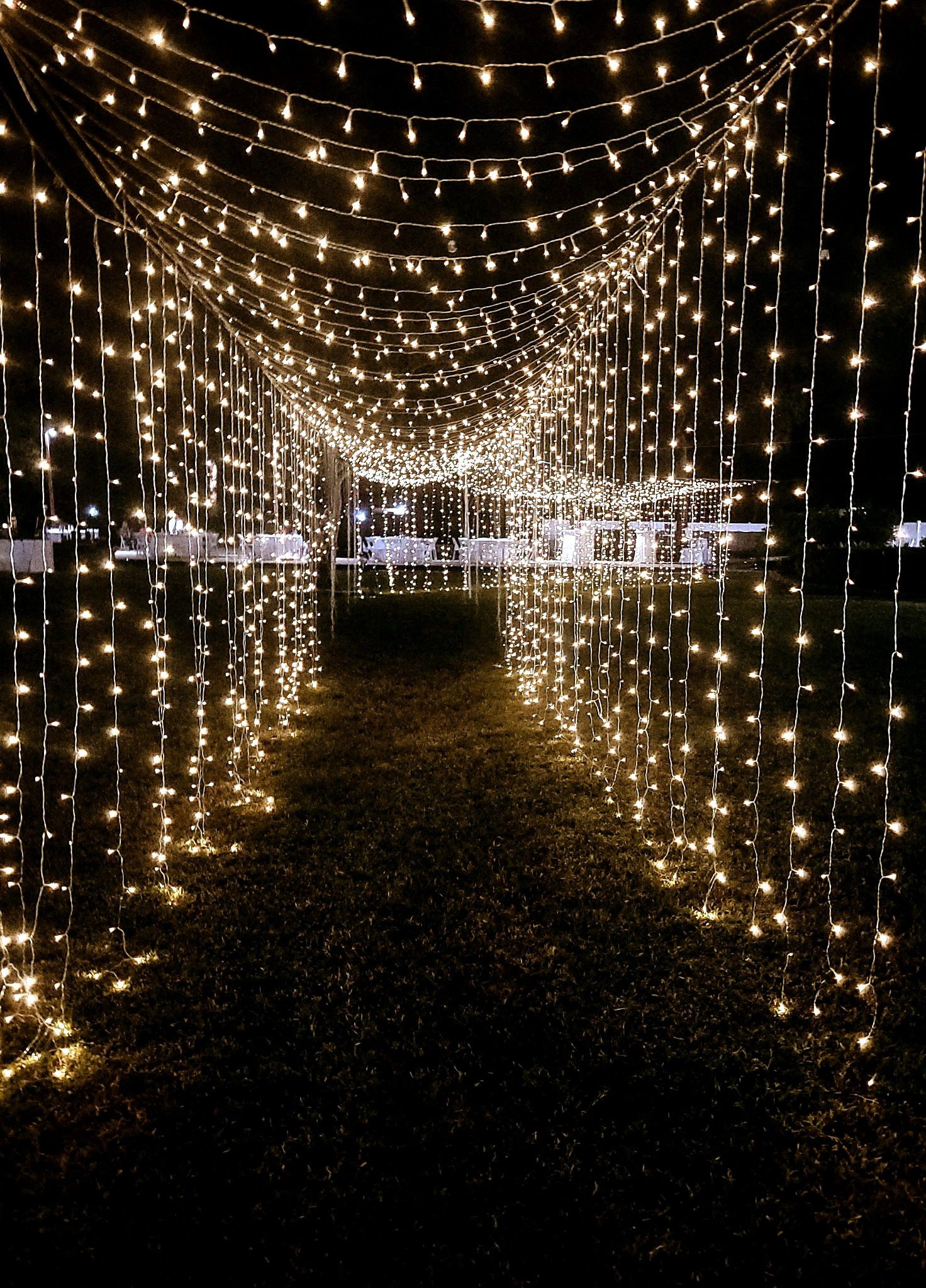 Twinkle lights — walking through Altitude's light tunnel at night, by Altitude Event Design and Decor, Tampa Bay